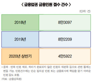 정부, 금소법 전 악덕소비자 돋보기