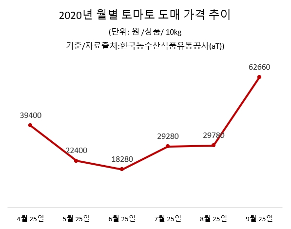 2020년 월별 토마토 도매 가격 추이.