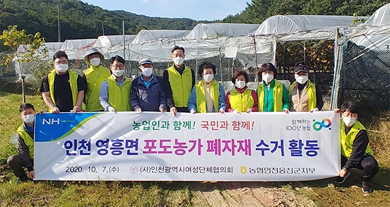 농협인천옹진군지부·인천여협, 포도농가 일손돕기