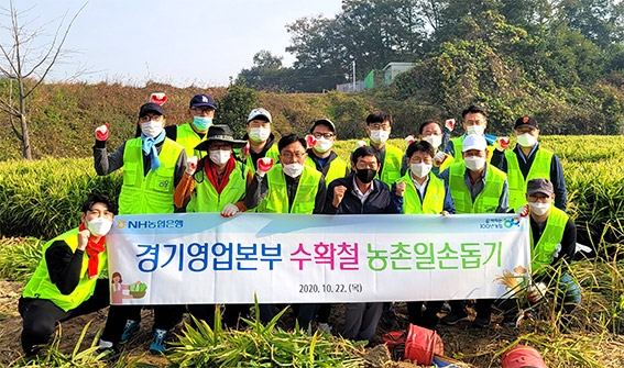 농협은행 경기본부, 수확철 농촌일손돕기