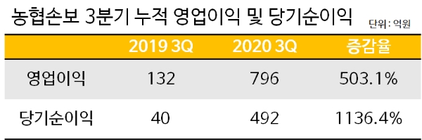 농협손보 3분기 경영 실적. / 사진 = NH농협금융