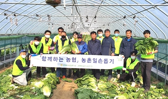 농협경제지주, 가을 영농철 농촌 일손돕기