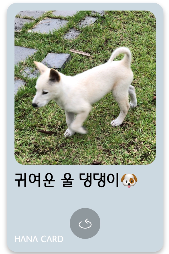 사진 = 하나카드