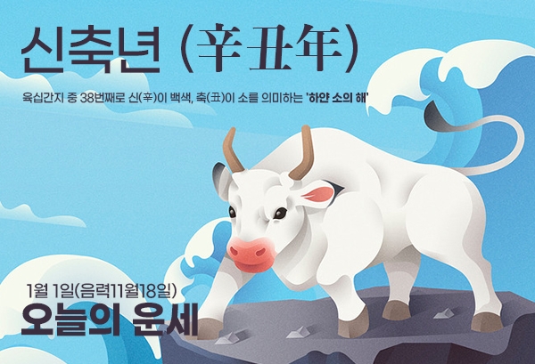 ▲1월 1일(음력11월18일) 오늘의 운세