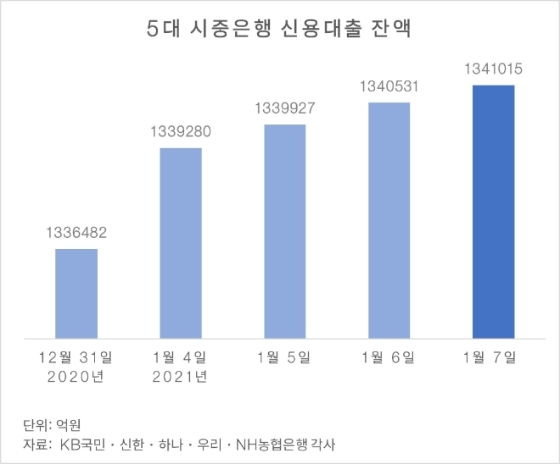 “언제 막힐지 모른다” 새해 들어 4일 만에 4500억 ‘패닉 대출’