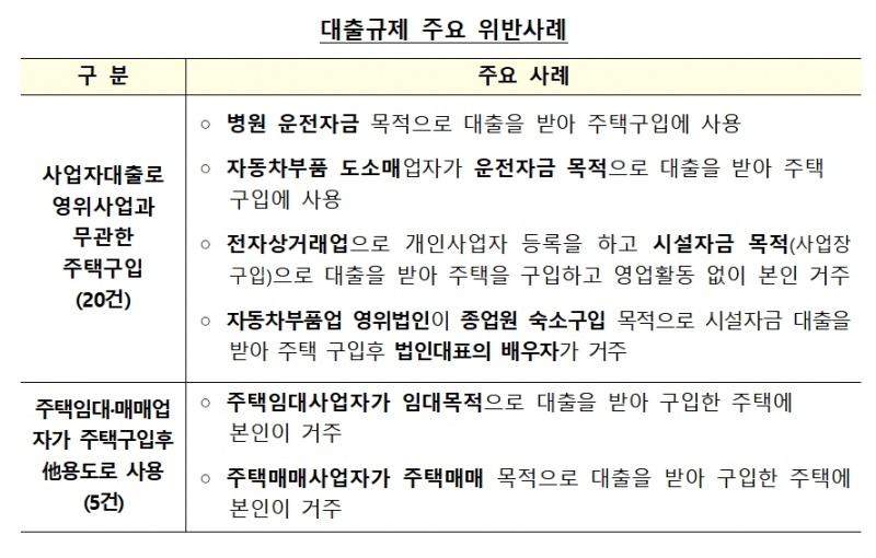 대출규제 주요 위반사례 / 자료제공= 금융감독원 등 관계기관 합동 발표(2021.01.18)