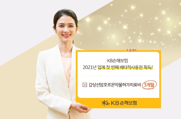 / 사진 = KB손해보험