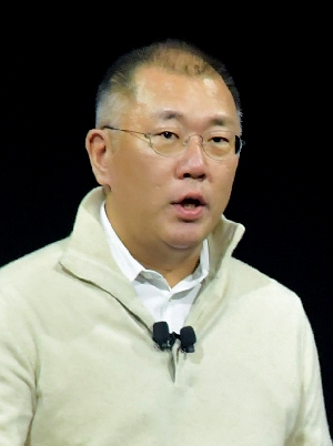 ▲ 사진 : 정의선 현대자동차 회장