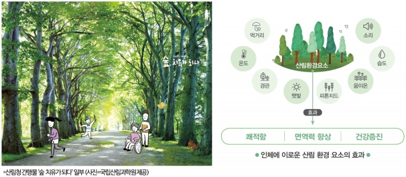 코로나블루 속 정서안정 돕는 숲세권 아파트 각광…‘래미안 포레스티지’ 주목