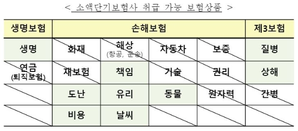 소액단기보험사 취급 가능 보험상품. / 사진 = 금융위원회