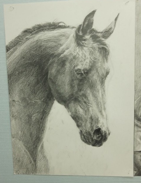 굿네이버스를 통해 진옥동 행장의 도움을 받은 박경원 군의 작품. /사진=굿네이버스 블로그