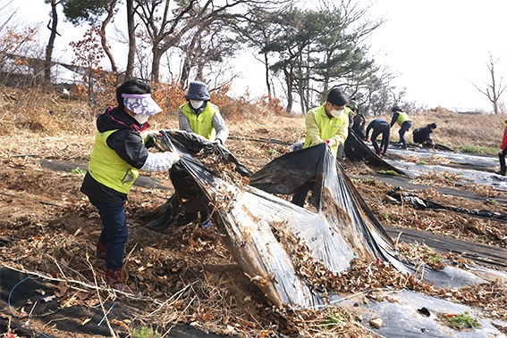 인천농협·농가주부모임인천시연합회, 영농폐기물 수거 환경보호캠페인 전개
