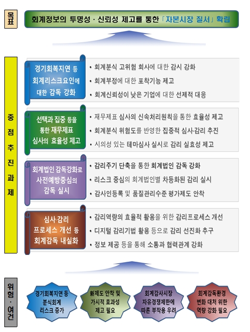 2021년 회계심사·감리업무 운영계획 / 자료제공= 금융감독원