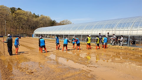 인천농협, 영농철 농촌일손돕기 실시
