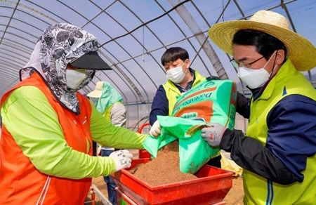 ▲ 농협금융지주 임직원 봉사단은 15일 강원도 홍천군 좌운리 소재 왕대추 마을을 방문해 영농철 일손 돕기를 실시했다. 농협금융 임직원들이 못자리 작업을 하고 있다. /사진제공=NH농협금융