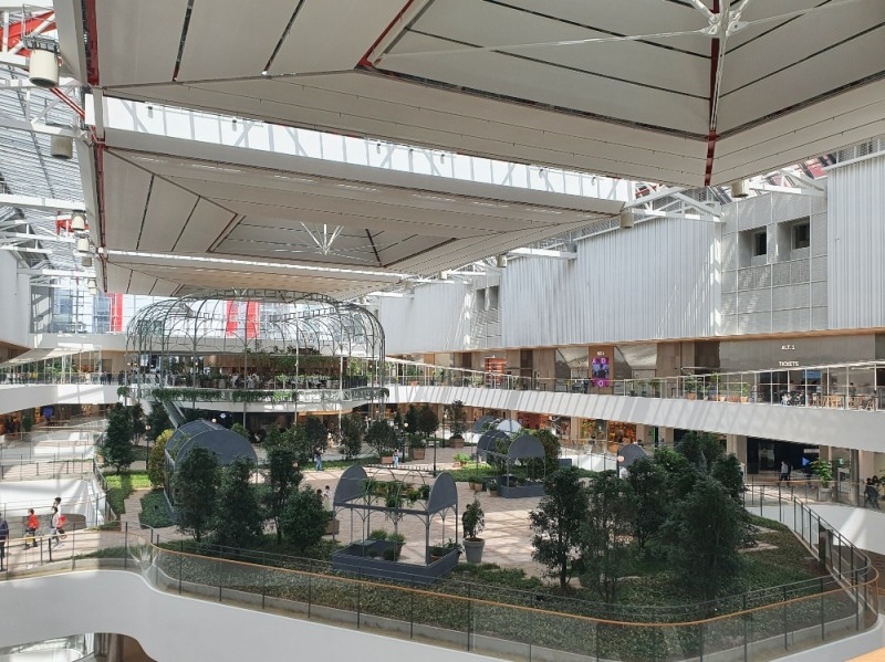 더현대서울이 조성한 5층 사운즈 포레스트 전경/사진제공=본사취재