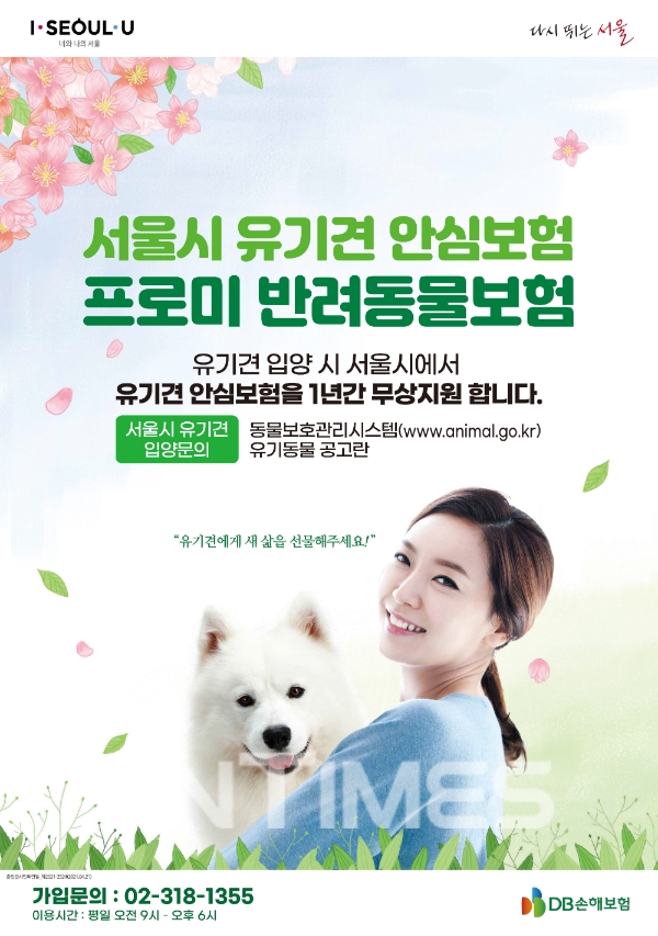DB손해보험이 지난 16일부터 서울시 유기동물 안심보험 지원사업을 시작했다./사진= DB손해보험