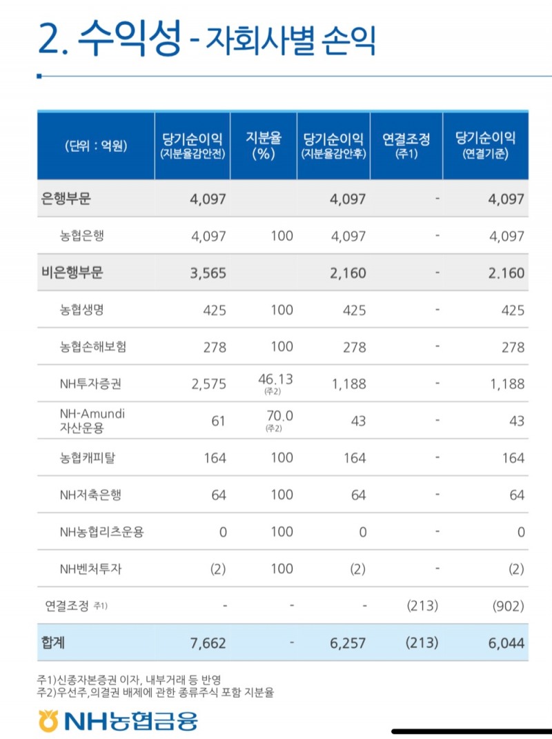 사진 = NH농협금융지주 2021년 1분기 실적보고서