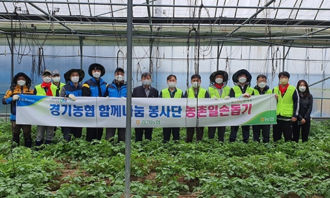 경기농협, 함께나눔봉사단 영농철 일손돕기 실시