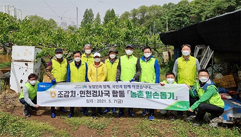 농협 조감처·인천검사국, 합동 농촌 일손돕기 실시