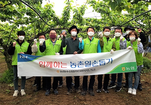 농협, 각지에서 영농철 농촌일손돕기 실시