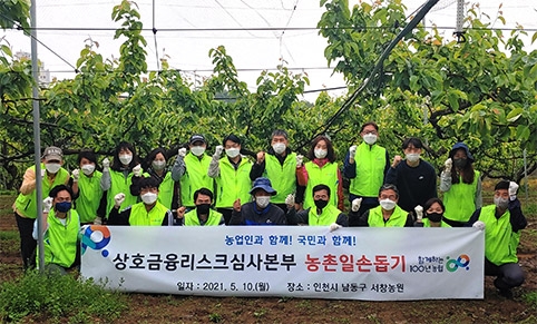 농협 상호금융리스크심사본부, 배 적과 일손돕기 봉사