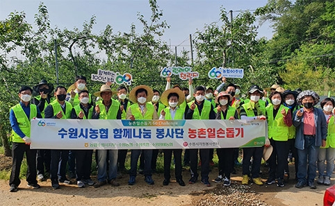 수원시농협 함께나눔봉사단, 농촌 일손돕기 앞장