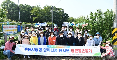 수원시자원봉사센터·수원시농협 함께나눔봉사단, 영농철 농촌 일손돕기 앞장