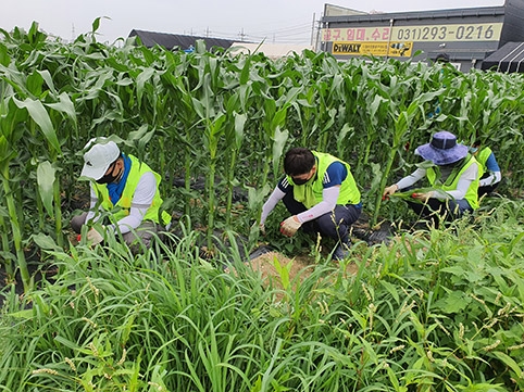 경기농협, 농촌일손돕기 60 릴레이 챌린지 실시