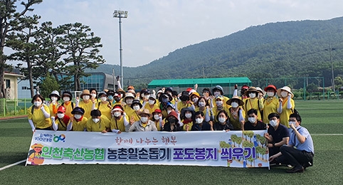 인천축산농협·주부대학총동창회, 포도농가 영농지원 봉사활동