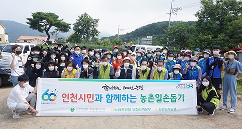 인천농협·인천시자원봉사센터 합동 농촌일손돕기 실시