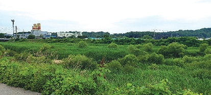 ▲ 고양창릉지구(고양시 덕양구 용두동) 일대. 사진=한국금융신문