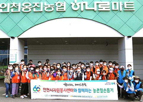 인천농협, 농촌사랑운동본부·인천시자원봉사센터 농촌일손돕기 실시