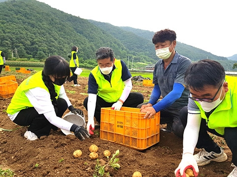 강원농협 '대학생과 함께하는 농촌일손돕기' 추진