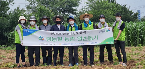 농협중앙회 정보보호부, 용인시 감자재배 농가 일손돕기 실시
