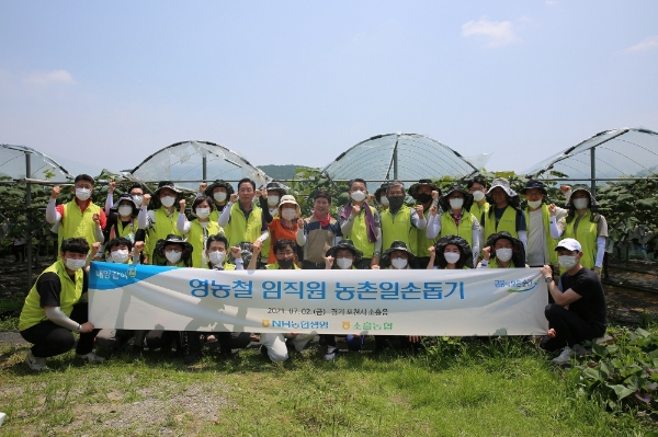 김인태 NH농협생명 대표이사와 임직원 30여명이 지난 2일 경기 포천시 소홀읍 포도농가를 찾아 농촌 일손돕기를 진행했다./사진= NH농협생명