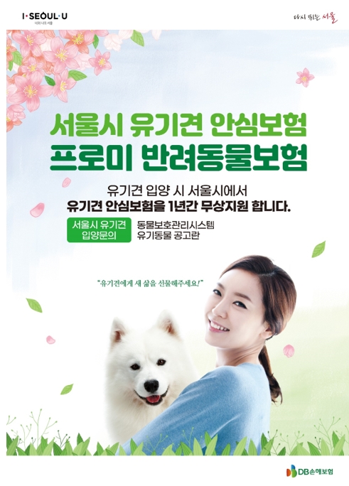 DB손해보험이 서울시와 손잡고 서울시 유기견 안심보험 지원사업으로 프로미 반려동물보험을 지원하고 있다./사진= DB손해보험