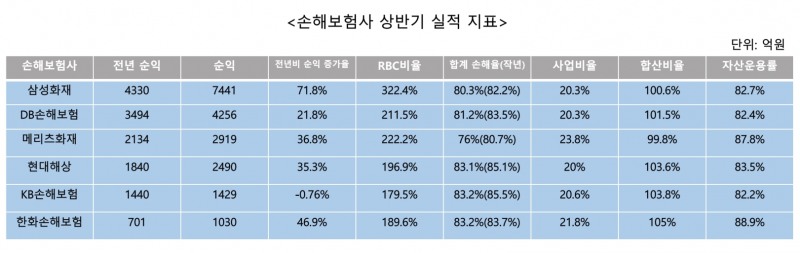 자료= 금융감독원