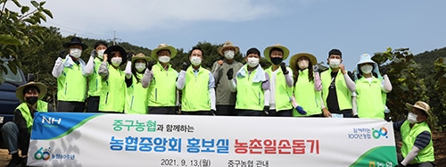 농협중앙회, 인천 중구농협 수확기 일손돕기 앞장