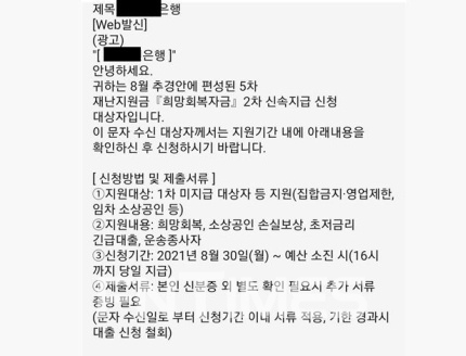 코로나19 상생 국민지원금을 빙자한 대출사기 문자 실제 사례./사진=금융감독원