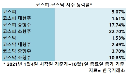 '중소형주'의 약진…올들어 수익률 대형주 앞질러