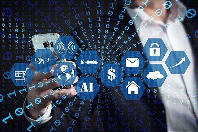 사진제공= 픽사베이