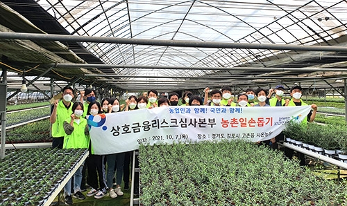 농협 상호금융리스크심사본부, 농촌일손돕기 봉사활동 펼쳐