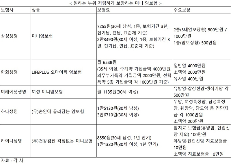 원하는 부위 집중 보장 가성비 미니 암보험 봇물