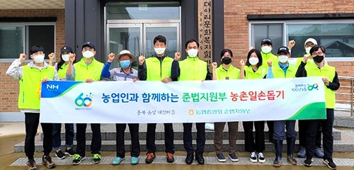 농협중앙회 준법지원부, 자매결연마을 수확기 일손돕기