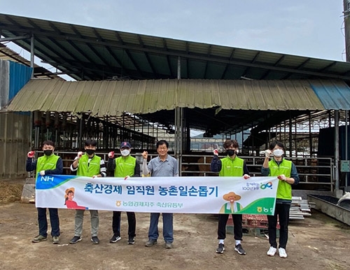 농협경제지주 축산유통부, 한우농가 농촌일손돕기 실시