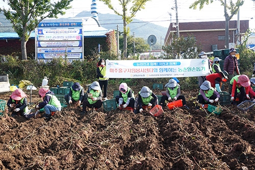 농협강화군지부·인천미추홀구자원봉사센터, 농촌일손돕기 실시