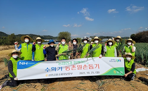 농협 상호금융소비자보호부, 수확기 농촌 일손돕기 팔걷어