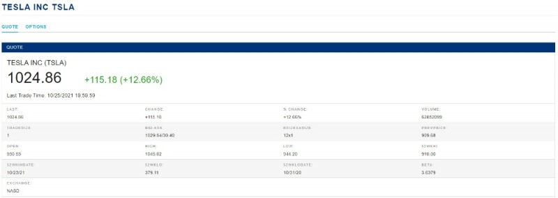 테슬라 주가 / 자료출처= 미국 뉴욕증권거래소(NYSE) 검색(2021.10.25 종가 기준) 중 갈무리