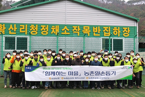 농협중앙회, 각처에서 수확기 농촌일손돕기 활약